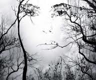 woman's face in trees Woman's face in trees